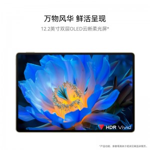 HUAWEI MatePad Pro 12.2英寸柔光版平板电脑 12+512GB（含触摸笔）