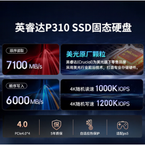 英睿达 美光P310 1TB SSD固态硬盘 M.2接口