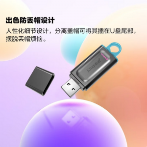 金士顿（Kingston）64GB USB3.2 Gen 1 U盘 DTX