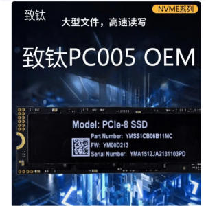 长江存储致态固态硬盘 512G SSD PC005 Active系列 M.2接口(NVMe协议)