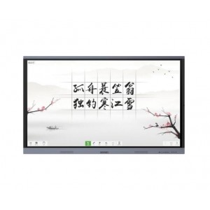 希沃（Seewo）C55EB 55英寸触控一体机（I5/8G/256GSSD/安装调试）