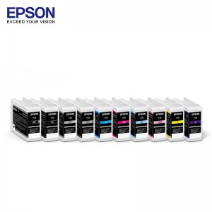 爱普生（EPSON）T46V系类 原装墨水10色套装(适用P708机器)