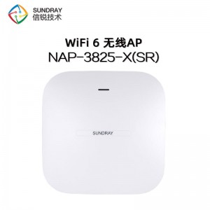 信锐NAP-3825-X(SR)路由器