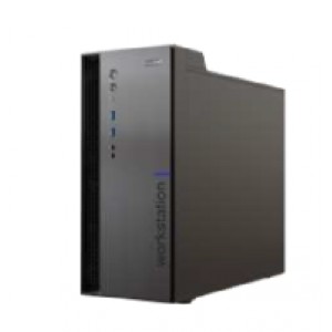中科可控 W3330H0 塔式服务器（CPU:Hygon 3250*1/64G DDR4/1T NVMe M.2 SSD*1/4TB 3.5 SATA*1/ Atlas 300I DUO 24G GPU模块(CTO&BTO)*1/双口10G PCIe无模块光纤网卡-RP1000*1(配多模模块）/600W电源*1/DVD光驱*1/显示器：27寸 /3年整机质保/1年上门服务/硬盘不返还服务）