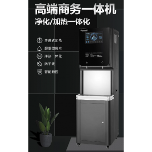 洛恩斯步进式高端商务直饮机 LES-2AD30