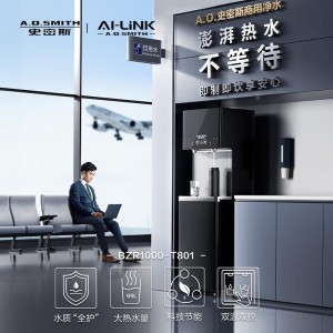 史密斯（A.O.Smith）BZR1000-T801 商用直饮净水器