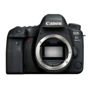 佳能（Canon）EOS 6D Mark II 单反相机（含EF 24-105mm f/4L IS II USM 镜头+宏驰SD256G内存卡 200M/S+卡色G-MCUV镜金环77mm+沣标FB-880多合一读卡器+沣标-QJT005 多合一清洁套装+沣标FB-CB003M-B单反包)