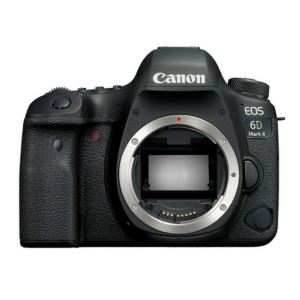 佳能（Canon）EOS 6D Mark II 6D2全画幅单反套机（含EF 24-105mm f/4L II USM镜头）