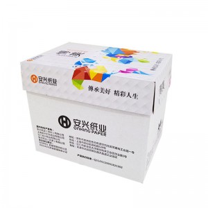 传美彩色复印纸（浅绿色）A5 80G 500页/包 20包/箱