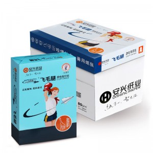 飞毛腿复印纸 A4 80G 500页/包 5包/箱