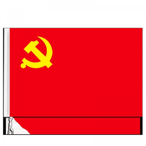 齐心 B1039旗帜 96*144cm 1面装