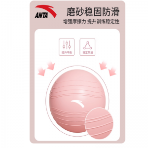 安踏 瑜伽球运动健身球 直径55cm