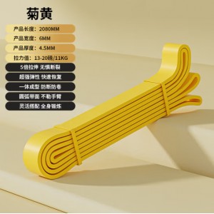 TLXT 长款阻力带20磅