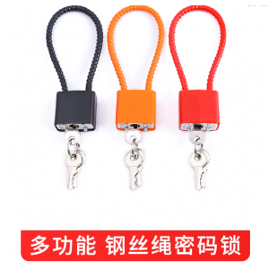 国产 3*3.3cm 钢丝长挂密码锁