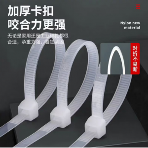 添翼 自锁式尼龙扎带 理线带 白色 4.7*350mm 1kg/包