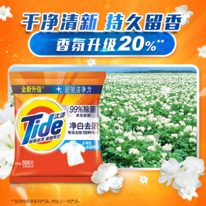 汰渍 洗衣粉508g/包